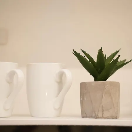 Nea Deluxe Apartment