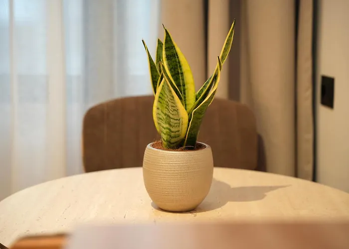 Appartamento Nea Deluxe